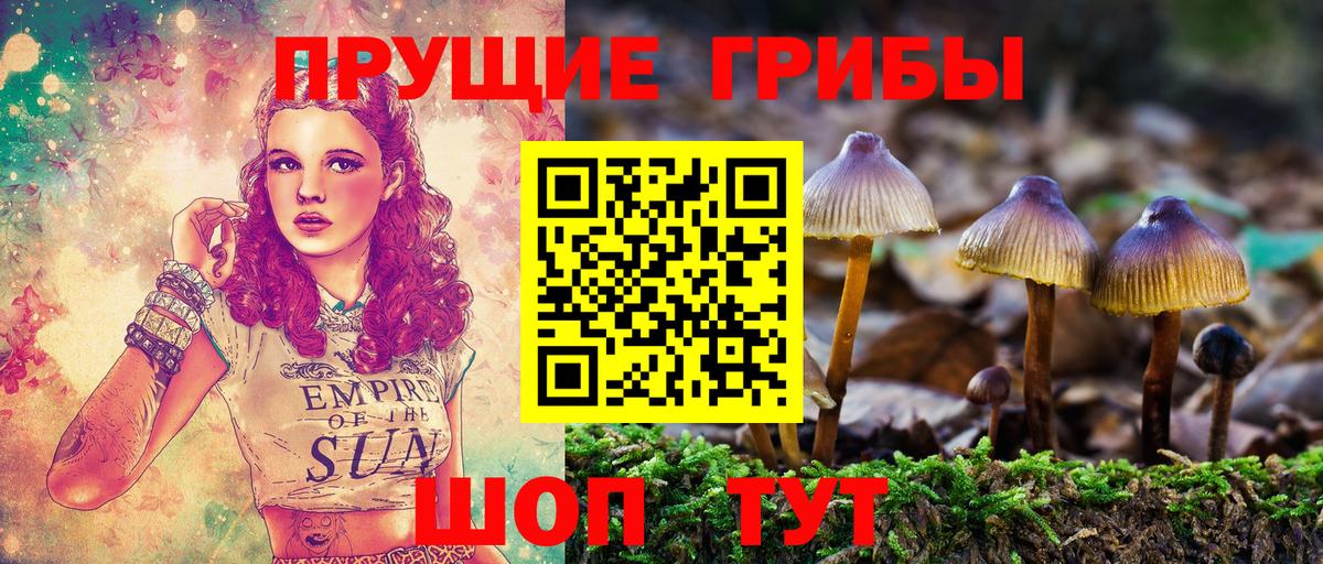 Галлюциногенные грибы MAGIC MUSHROOMS Юрга