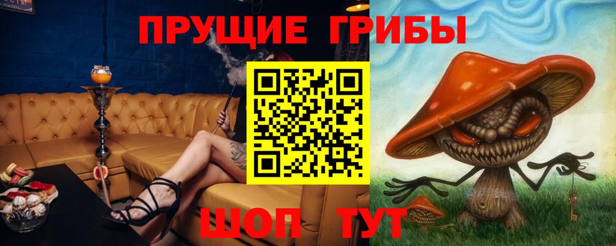закладки  Вход с VPN  Юрга  Галлюциногенные грибы мухоморы 